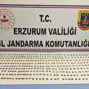 Erzurum’da 439 adet sikke ele geçirildi