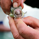 Dikkat bir kişi zehirlendi hayatını kaybetti: Ekipler harekete geçti