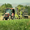 Muş'ta bin 361 çiftçi 40 bin ton şeker üretti: Ekonomiye 100 milyonluk katkı