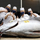 Dev orkinos 1.5 milyon liraya alıcı buldu