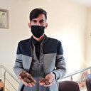 Siirtli vatandaş tarlasında bulduğu taşları 50 bin dolardan satışa çıkardı