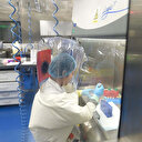 Vuhan Viroloji Enstitüsü yüzlerce sayfalık çalışmayı sildi iddiası