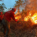 Doğu Karadeniz’de, 4 ilde, 23 noktada yangın: Ekipler müdahale ediyor