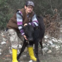 Engelli hibe desteğiyle hayvancılığa başladı: Hayvan sayısını iki katına çıkardı