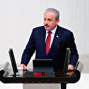 TBMM Başkanı Mustafa Şentop: Hükümet sistemine uygun bir iç tüzük yapılması lazım