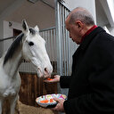 Cumhurbaşkanı Erdoğan Geleneksel Sporlar Tesisi açılışına katıldı