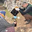 Yok satıyor: Her derde şifa katran yağı