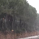 İstanbul'a yılın ilk karı düştü