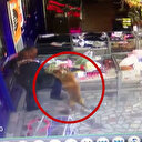 Başıboş gezen pitbull, anneannesiyle markete giden küçük kıza saldırdı