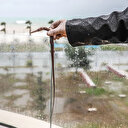 Fırtına balığı sahile 60 metre uzaklıktaki balkona fırlattı