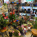 Yargıtay karar verdi: İsimsiz çiçek 'taciz' sayılıyor