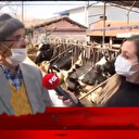 İletişim Başkanı Fahrettin Altun'dan yalan haber yapan Fox TV'ye tepki: Ayıptır, günahtır. Yapmayın!