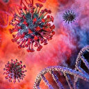 Bilim insanları 'Nipah virüsü' için uyardı