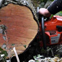 Osmaniye'de feci olay: Motorlu testereyle odun yerine eşinin bacağını kesti