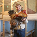 Tavuklarının yapısı nazik olduğu için onlara müstakil ev kiraladı:  Yumurtanın tanesini 25 liradan satıyor