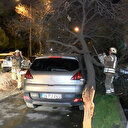 Bakırköy'de ağaç kökünden kırılarak otomobilin üzerine devrildi
