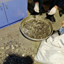 Sahte altın sahte dolar derken şimdi de sahte euro: Almanya'ya götüreceklerdi