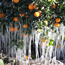 Meteoroloji uzmanı uyardı: Perşembe günü don olayına dikkat