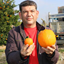 Normalden 34 kat büyük: Adana'da 1 kilo 260 gramlık dev portakal görenleri şaşırttı