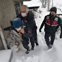 Rahatsızlanan vatandaşı jandarma sırtında taşıdı