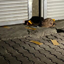 İzmir’de kadın cinayeti: Sokak ortasında bıçaklanarak öldürüldü