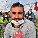 5 bin tane ile üretime başladı 200 bine ulaştı: Şimdi Türkiye'nin dört bir yanına gönderip ihracat yapıyor