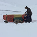 Bingöl'de insanlık ölmemiş dedirten görüntü: Donmak üzere buldukları yavru köpekleri elleriyle besliyorlar