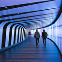 Geleceğin meslekleri nelerdir: Gelecekte bu mesleklere rağbet olacak