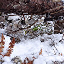 MSB teröristle mücadele harekatından fotoğraf paylaştı