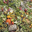 BM israfı raporladı: Yılda 900 milyon ton çöpe gidiyor