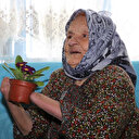 Manisalı Ayşe Nine 72 yıl önce yaşadığı acı olayı unutamıyor: Kocası ellerini tırpanla kesti
