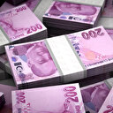 Merkez Bankası'ndan piyasaya 66 milyar lira