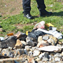 Ayvalık’ta vahşet: Boş arazide poşetin içinden çıktı