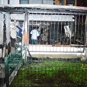 Eşine kızdı evi yaktı: Ateşe verilen ev kullanılamaz hale geldi