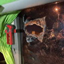 GZT Giresunspor takım otobüsü Samsun'da taşlı saldırıya uğradı