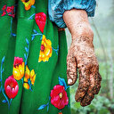 Kadınları anlattılar ödülleri topladılar