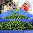 Tam kapanmada haller ile marketler arasındaki fiyat farkı dudak uçuklatıyor