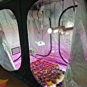 Otel değil uyuşturucu imalathanesi: Odalara özel düzenekler kurmuşlar