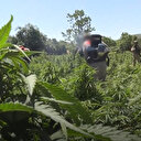 Diyarbakır kırsalında hava destekli narko-terör operasyonu başlatıldı