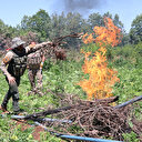 Diyarbakır’da uyuşturucu tarlalarına havadan karadan baskın: 2 buçuk milyon kök kenevir imha edildi