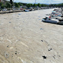 AK Parti'li Eroğlu'ndan 12 maddelik 'müsilaj' önerisi