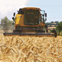 Çiftçi tarlada riski dağıttı