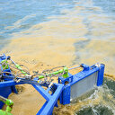 Müsilaj ekonomi için mercek altında