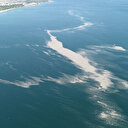 Küçükçekmece açıklarında 'müsilaj' adası