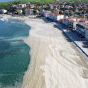 Uzmanından 'müsilaj' uyarısı: Marmara Denizi'nde yüzmek cilt hastalıklarına neden olur