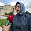Hayvan hakları düzenlemesinin mimarı Milletvekili Zengin: Hazırlanan kanun diğer ülkelerden daha ileride