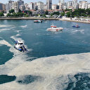 Nöroloji uzmanından müsilaj uyarısı: Felç riski var