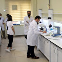 Deniz salyası yaralara merhem olacak: Kozmetik jel ve krem yapılacak