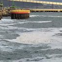 İskenderun kıyılarında beyaz tabaka endişelendirdi