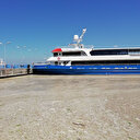 İzmit Körfezi'nde müsilaj etkisini sürdürüyor: Teknelerin giriş ve çıkışını etkiliyor